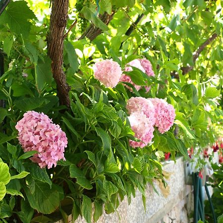 Alaburic Rooms & Apartment Mali Lošinj Екстериор снимка