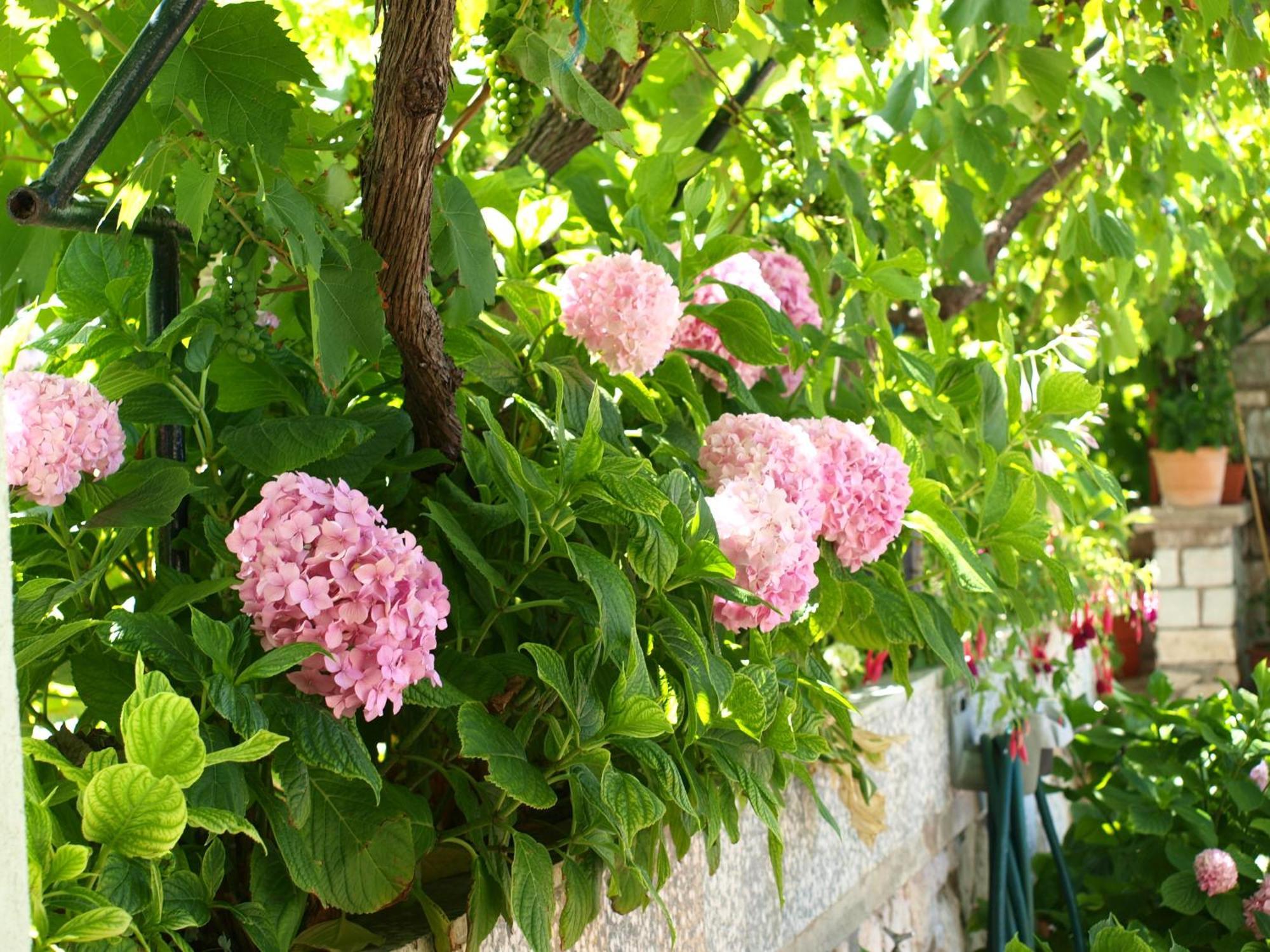 Alaburic Rooms & Apartment Mali Lošinj Екстериор снимка